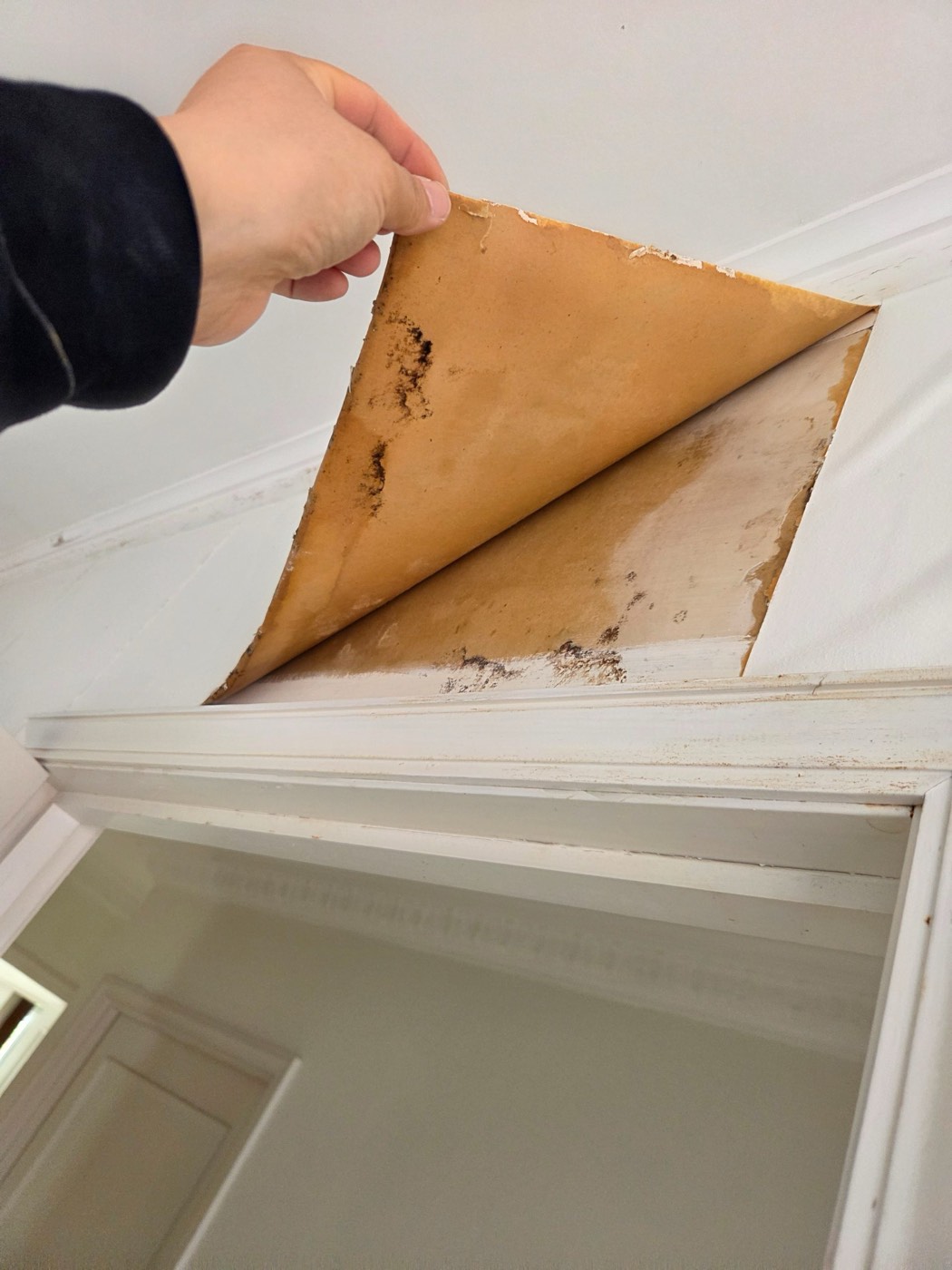 A Water Stain on the Ceiling: Bathroom Above, Roof, or Something Else?