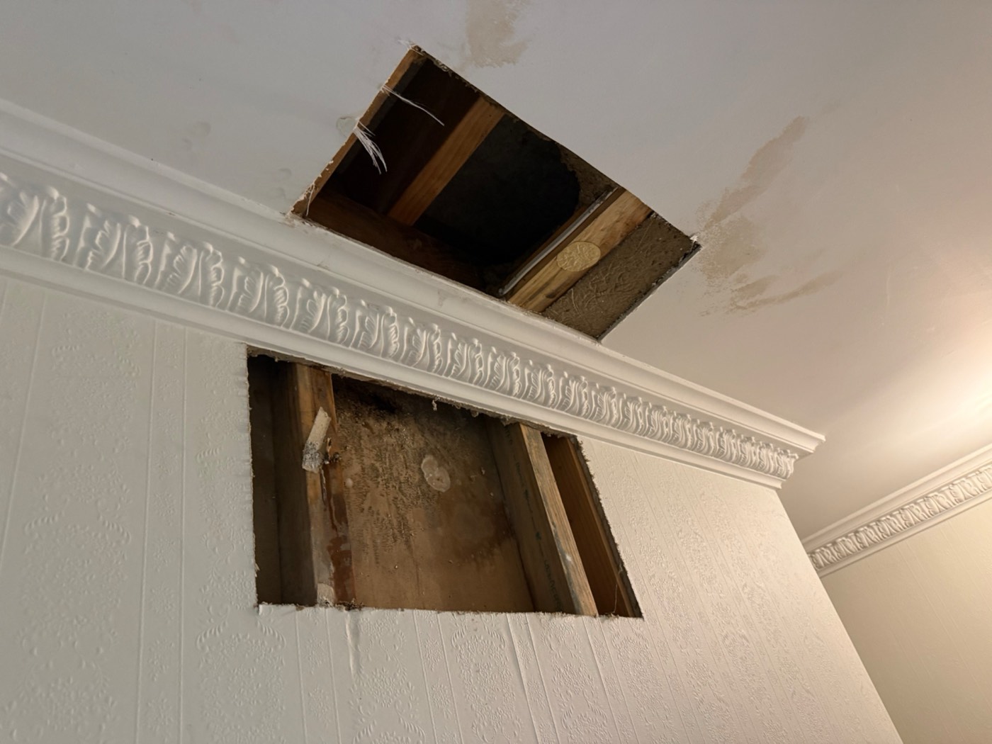DIY Plumbing: What You Can Safely Do, and What Costs You Later