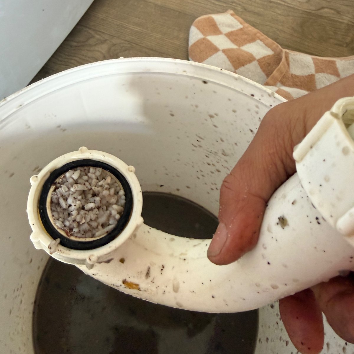 Kitchen sink trap below a waste disposer, packed solid with ground food fragments set in grease, Forrest Hill