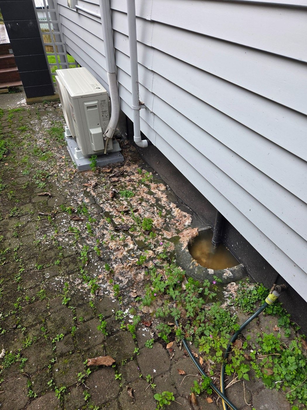 The Gully Trap Is Overflowing: What That Actually Means