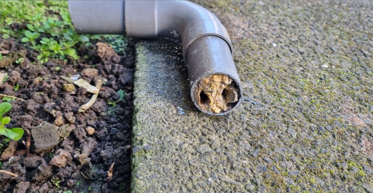 Section of kitchen waste pipe cut out, the bore almost fully closed by hardened grease