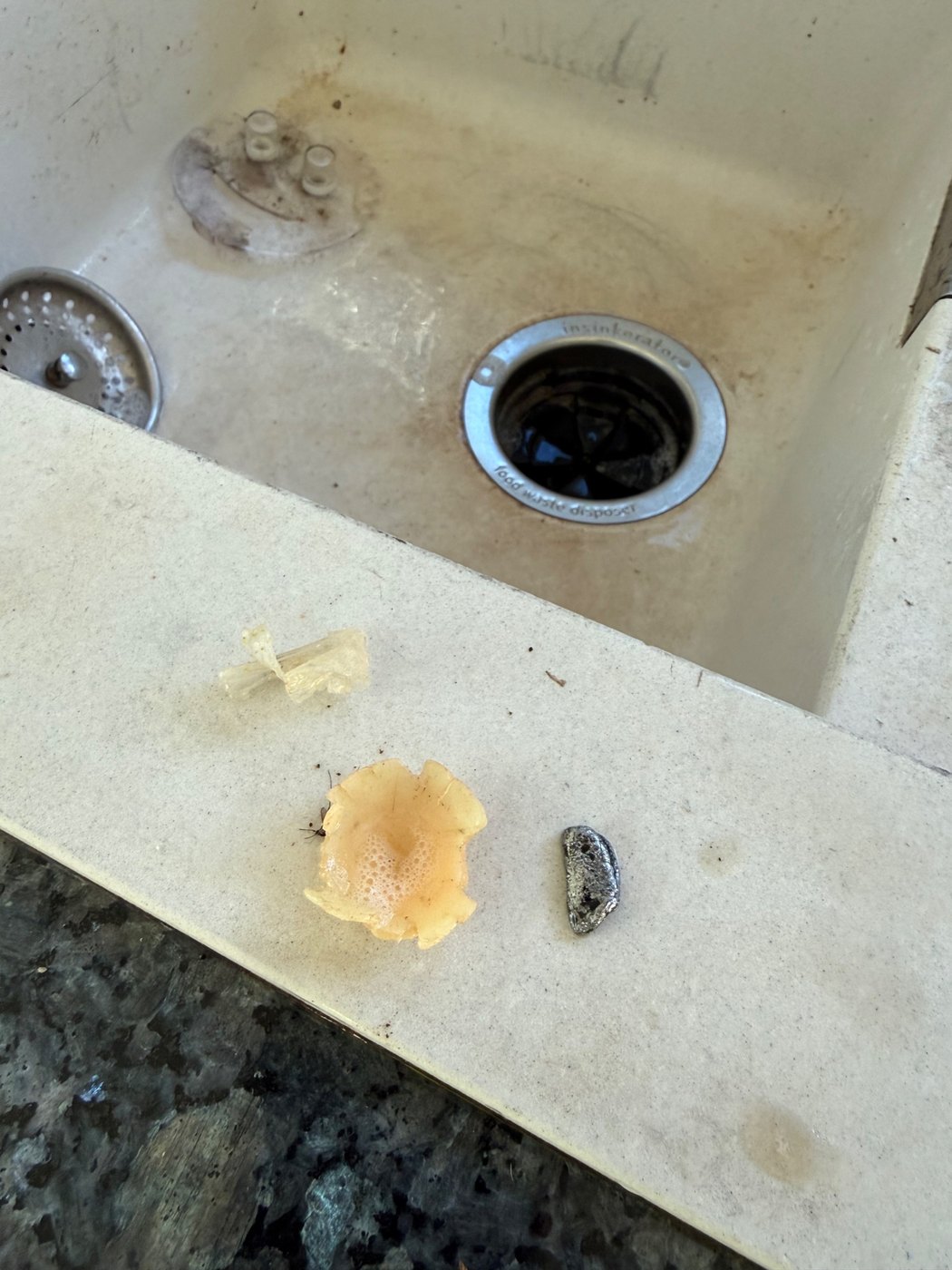 Objects taken out of a jammed waste disposer, laid on the bench beside the sink