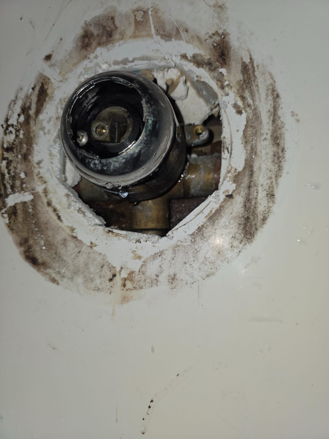 Birkenhead: water ran out of the shower after every use, and the mixer was leaking inside the wall