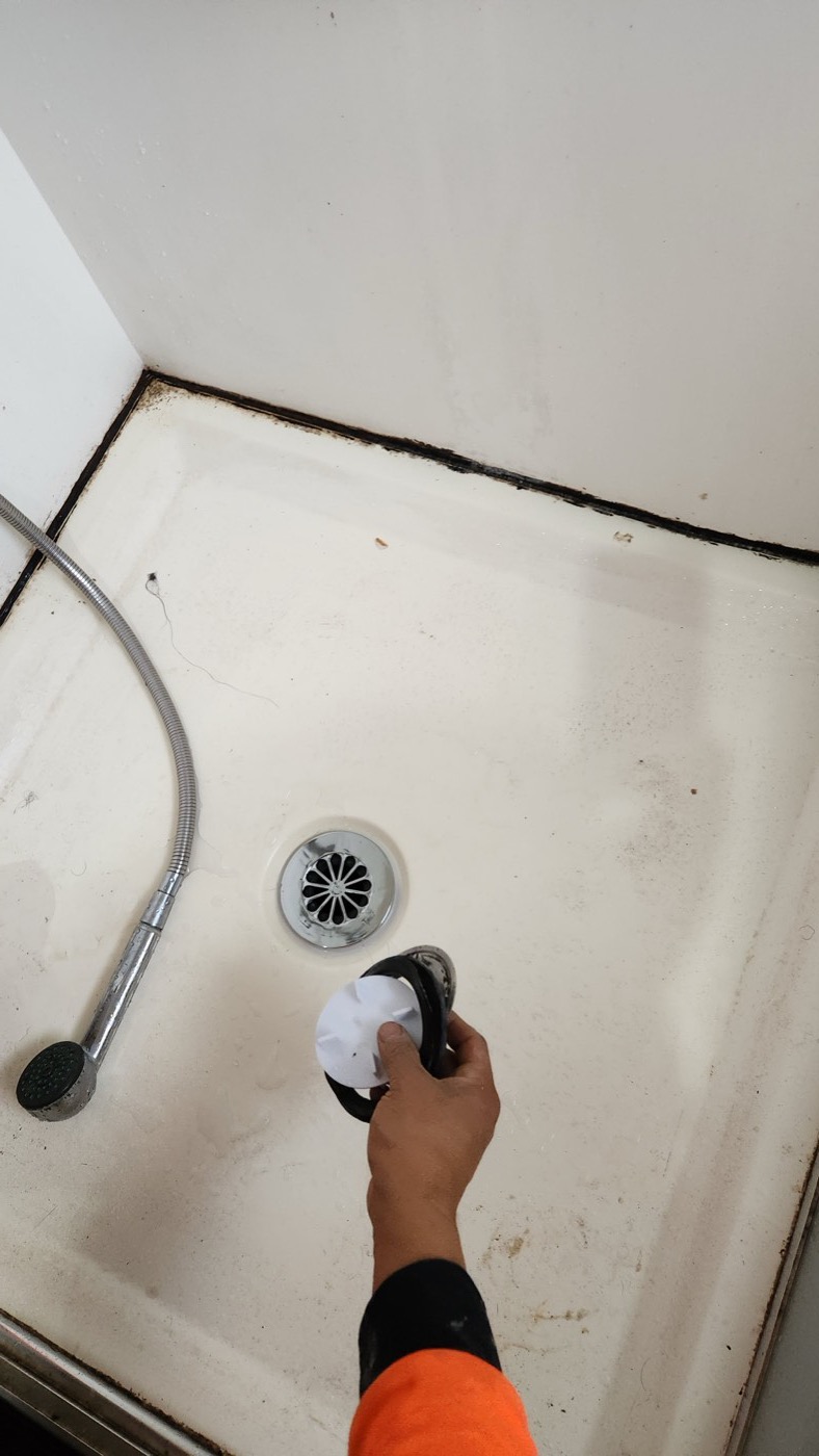 Why does my bathroom smell like sewage? A Manurewa shower, and what the smell usually means