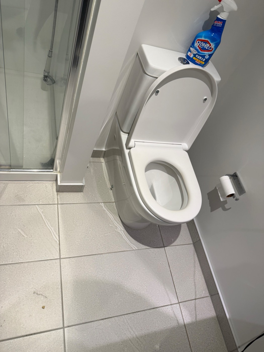 Never Pour Water on a Bathroom Floor in New Zealand