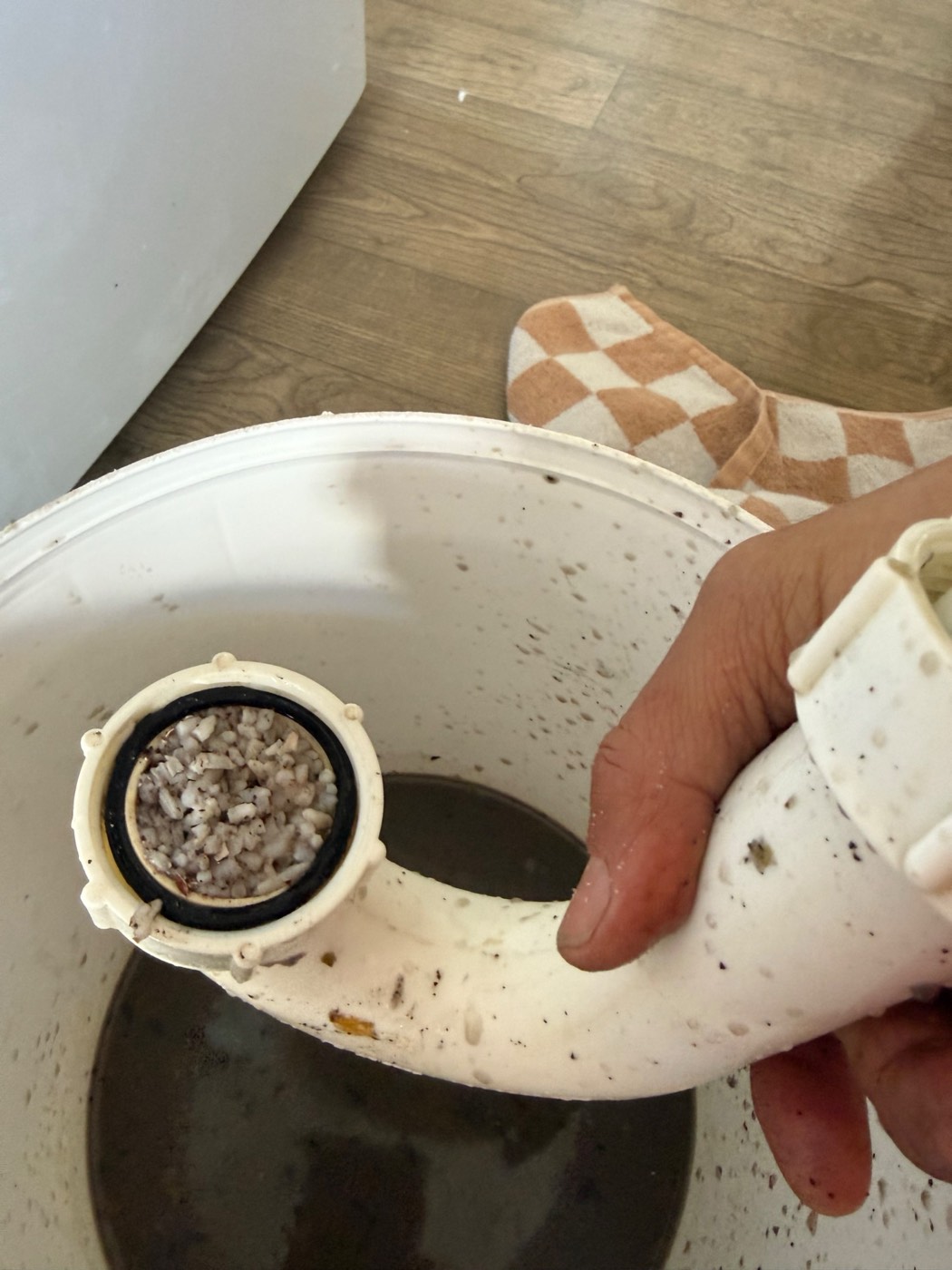 Sink blocked under the waste disposer? A Forrest Hill trap, and why it is usually not the disposer