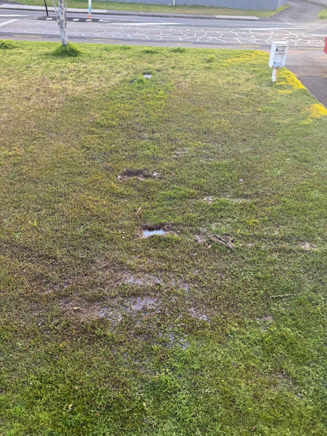 The Ground Is Wet and Nobody Knows Why: Underground Water Leaks