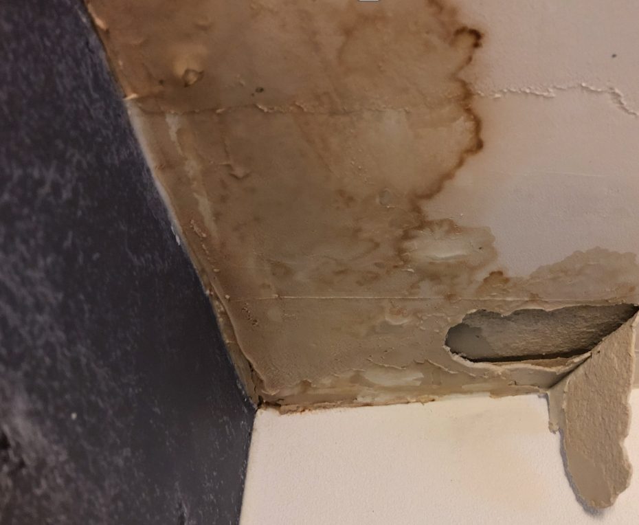 A ceiling stained and peeling where water has been leaking above it